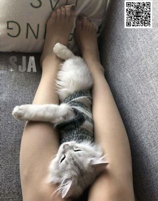 性歐美俄羅斯極品-迅雷極速版免費播放