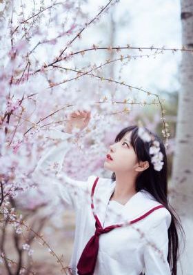 彩漫無(wú)碼軟件-高清藍(lán)光未刪減完整版