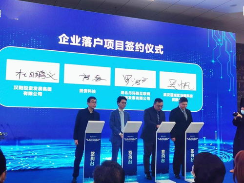 漢陽星火鏈網(wǎng)骨干節(jié)點(diǎn)上線暨武漢星火數(shù)字產(chǎn)業(yè)大樓揭牌儀式圓滿落幕，為投資房地產(chǎn)注入數(shù)字新動能